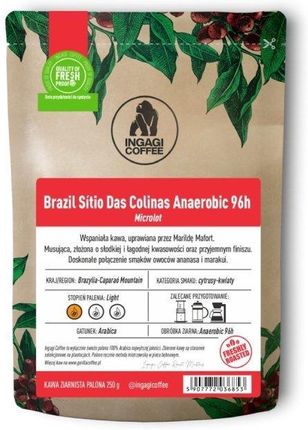 Kawa ziarnista Ingagi Coffee Brazil Sítio Das Colinas Anaerobic 96h 250g