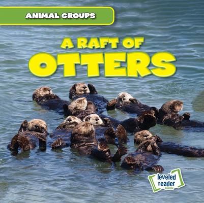 A Raft of Otters (Lynch Seth)