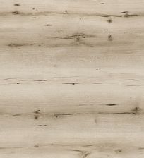 Zdjęcie Classen Dąb Galapagos 54833 Arteo 8Xl - Chełm