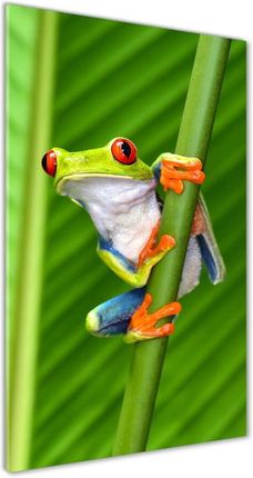 Safari LTD Red-Eyed Tree Frog Toy