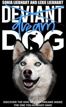 Deviant Dog to Dream Dog (Liebhart Lexie)
