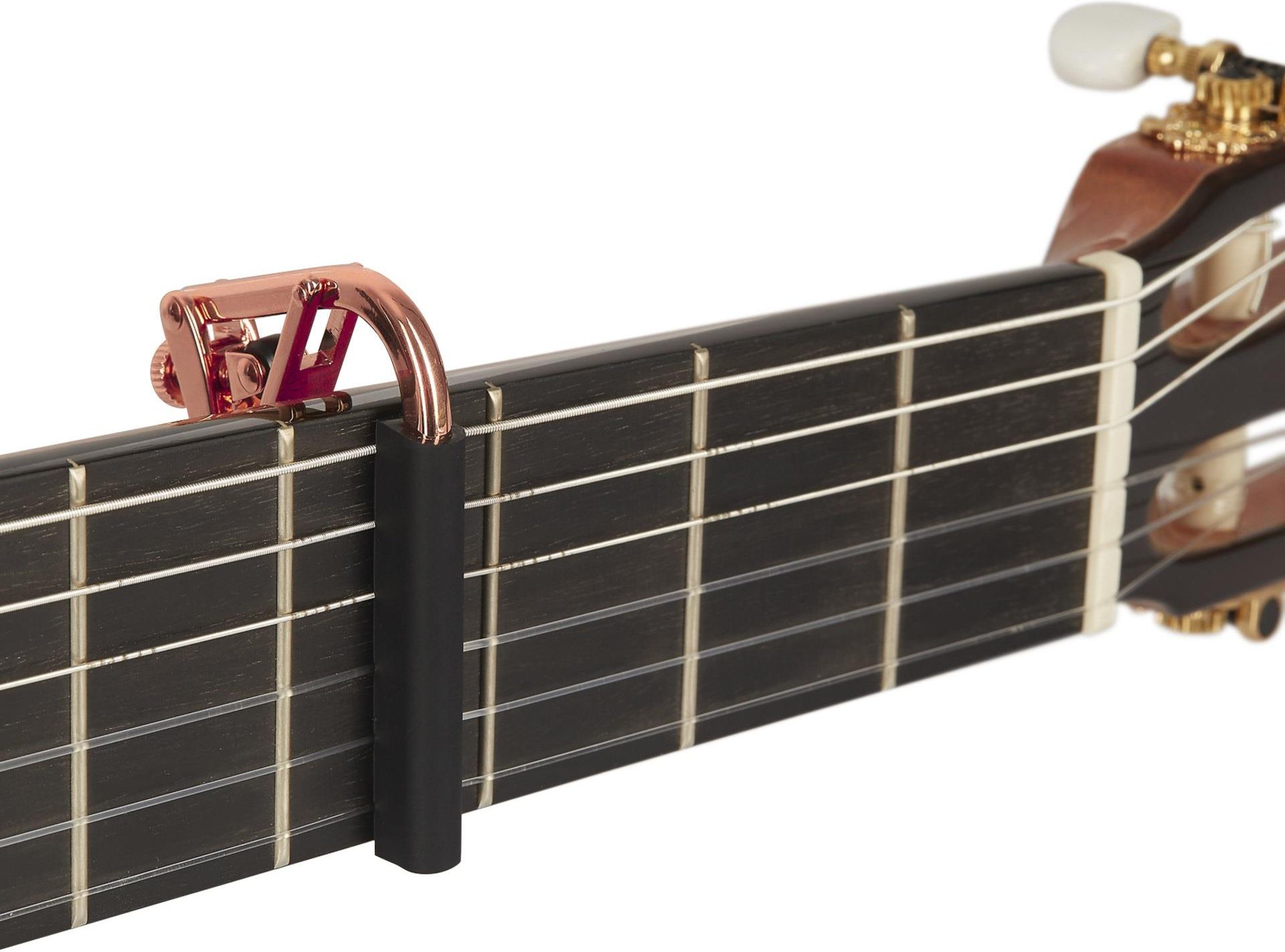 Shubb C2gr Capo Royale Rose Gold Nylon String - Ceny i opinie - Ceneo.pl