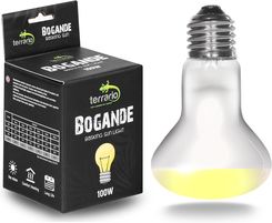 Zdjęcie Terrario Bogande Basking Sun Light Żarówka Grzewcza 100W - Pogorzela