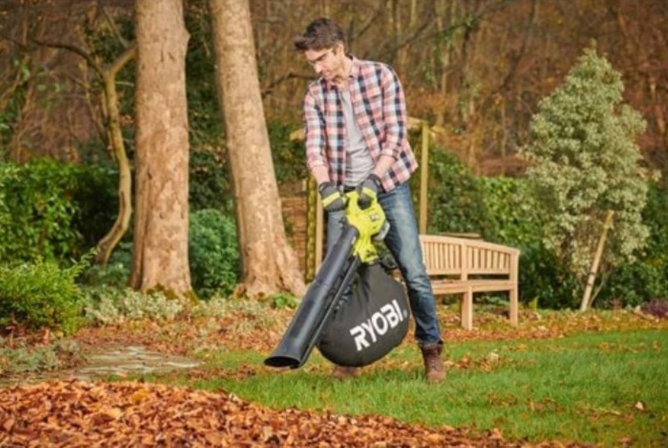 фото Садова повітродувка Ryobi RY18BVXA-150