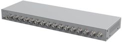 Zdjęcie Axis P7316 - Maszewo