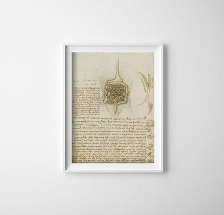 Vintageposteria Plakat Retro Do Salonu Da Vinci Przewód Żołądkowo Jelitowy I Pęcherz Pc-W0008500