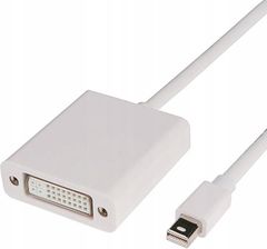 Pawonik Adapter Kabel Mini Displayport Do Dvi Thunderbolt (Jlmd1002)