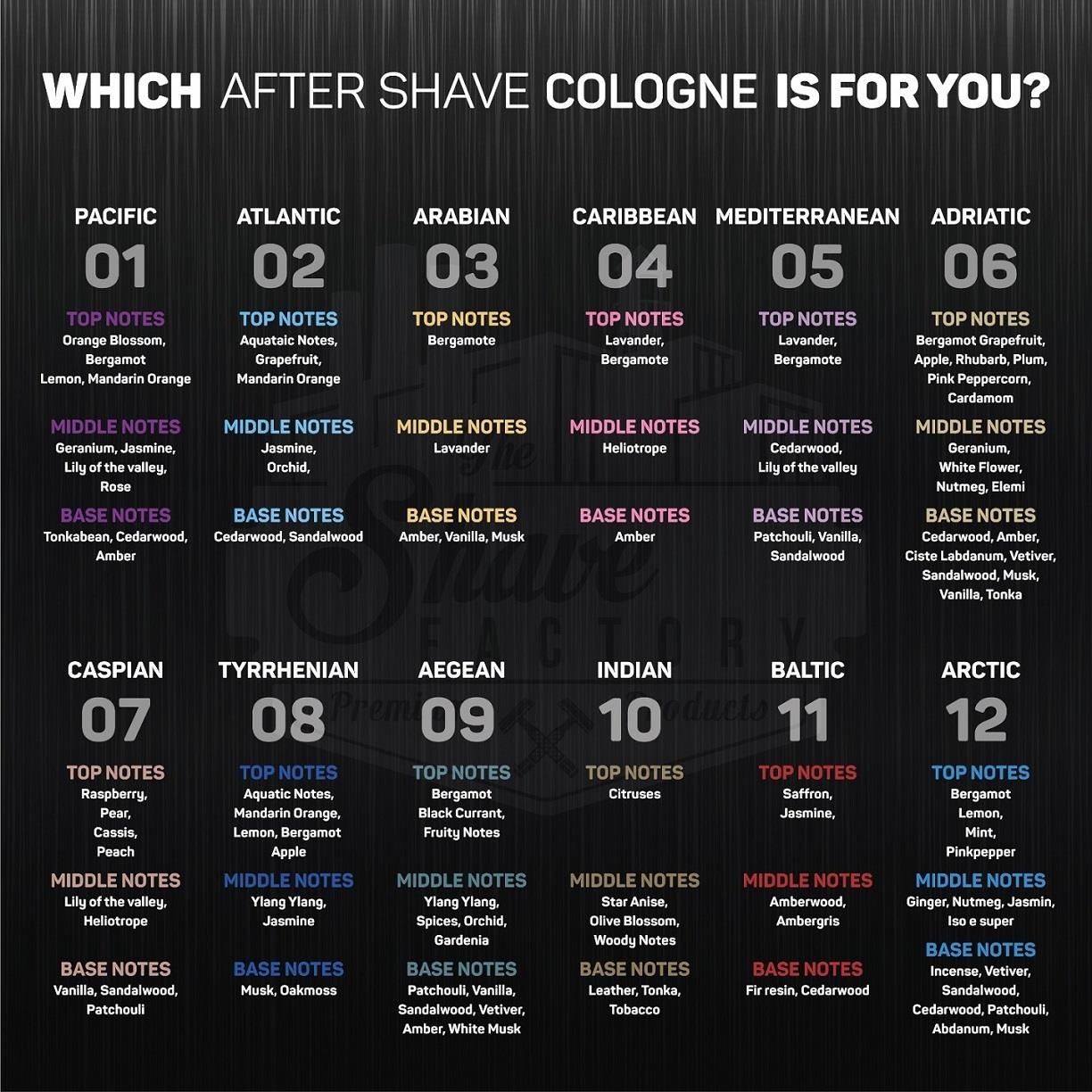 THE SHAVE FACTORY Aftershave – Mediterranean, 500 Ml, Frischer Zitrus-Holz-Duft Für Männer