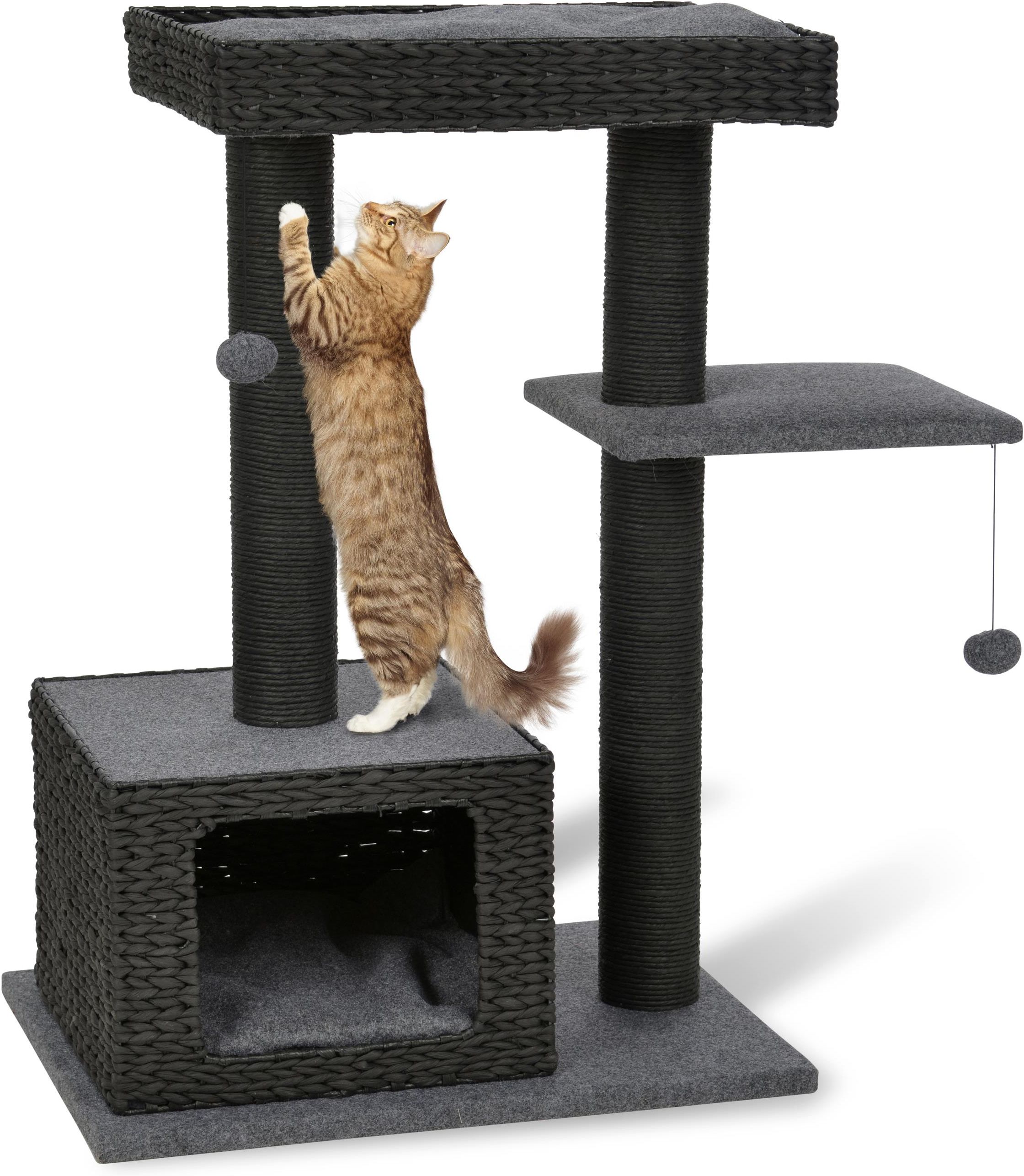 Anione on sale cat tree