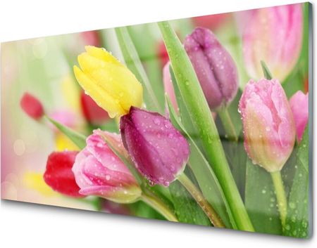 Tulup Panel Szklany Tulipany Kwiaty 100X50 NN29459590