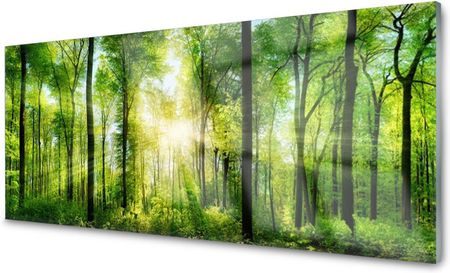 Coloray Panel Szklanyi Las Natura Drzewa 140x70 NN276530603