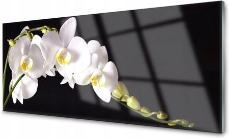 Coloray Panel Szklany Kwiaty Roślina 120x60 NN17770690