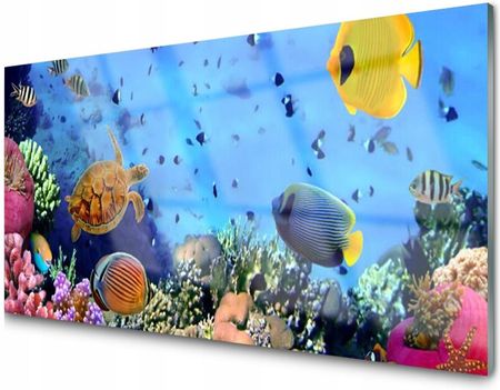 Tulup Panel Szklany Rafa Koralowa Morze 100X50 NN43735584