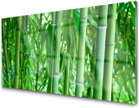 Tulup Panel Szklany Bambus Łodyga 100X50 NN35292437