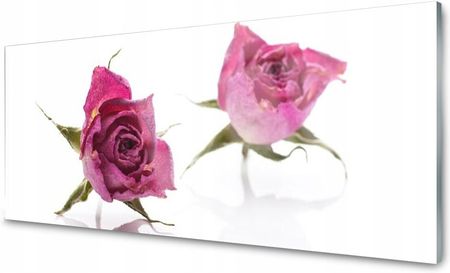 Coloray Lacobel Panel Ścienny Róże Kwiaty Roślina 140x70 NN50261485