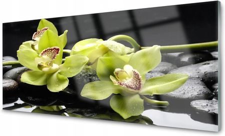 Coloray Lacobel Panel Ścienny Foto Kwiat Roślina 120x60 NN53577538