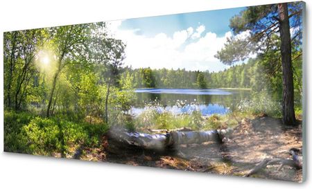 Coloray Panel Szklany Las Drzewa Jezioro 120x60 NN65467698