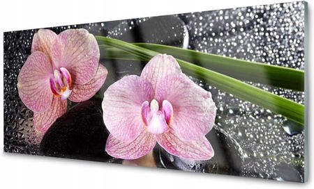 Coloray Panel Szklany Kuchenny Kwiaty Storczyk Zen 120x60 NN74633049