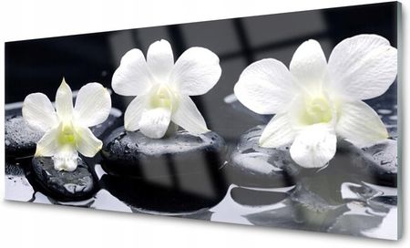 Coloray Lacobel Panel Szklany Szkło Kwiat Roślina 120x60 NN31674847