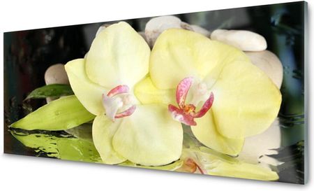 Coloray Panel Szklany Płytka Kwiat Storczyk 140x70 NN76402691