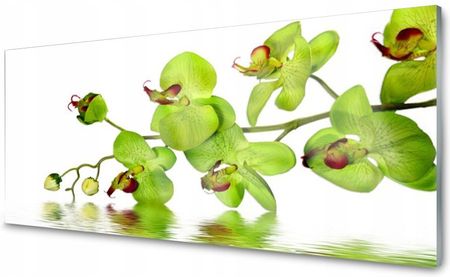 Coloray Lacobel Panel Szklany Dekor Kwiaty Roślina 140x70 NN2920507