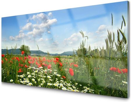 Tulup Panel Szklany Dekoracyjny Łąka Kwiaty 100x50 NN41899149