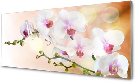 Coloray Panel Szklany Płytka Kwiaty Roślina 120x60 NN59169031