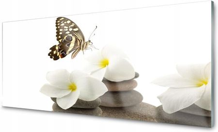 Coloray Lacobel Panel Szklany Motyl Kwiat Roślina 120x60 NN43774387