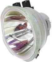Lampa Do Projektora Panasonic Pt-Dw830K - Zamiennik Oryginalnej Lampy Bez Modułu (ETLAD120W)