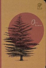 Zdjęcie Zeszyt W Linie Forrest Japan 80 Kartkowy - Libiąż