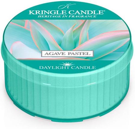Kringle Candle Agave Pastel Daylight Świeczka Zapachowa 42 Ml 2390-266-0042