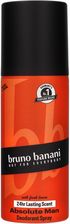 Zdjęcie Bruno Banani Absolute Man Dezodorant spray 150 ml - Łasin