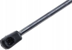 Zdjęcie Nty Siłownik Klapy Peugeot 206 Cc 2000 2010 8731 A2 - Zielonka