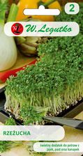 Zdjęcie Nasiona Na Kiełki Rzeżucha 30G - Skarżysko-Kamienna