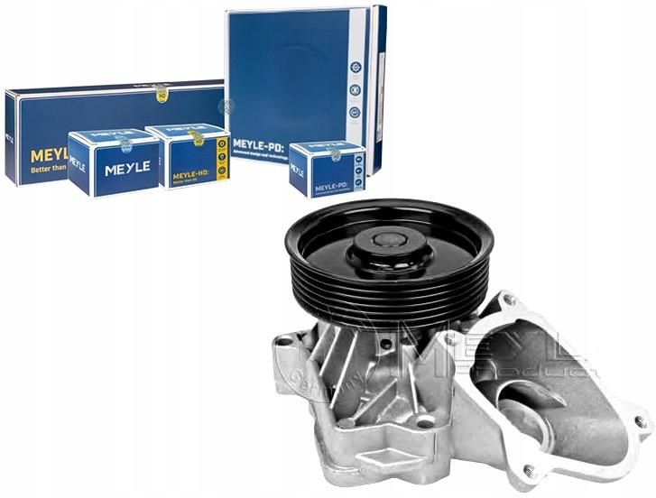 Meyle 113 220 0016 Pompa Acqua Per Motore, Con Guarnizione, Compatibile Con VW/Audi/Seat 1.4 TSI/TFSI