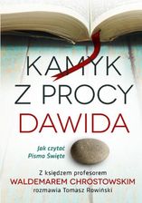 Zdjęcie Kamyk z procy Dawida - Nowe Brzesko