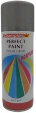 Zdjęcie Champion Aluminium Farba Spray Aerozol 400Ml Ral9007 - Tłuszcz