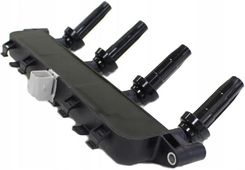 Gorabbit Cewka Zapło Citroen Xsara N1 N2 N68 N0 96358649 597078 597079 ...