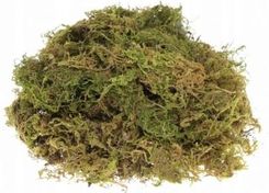 Zdjęcie Mech Dekoracyjny Sypki 30 Gr - Maszewo