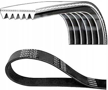 CONTITECH 6PK2550 Cinghia servizi 2550mm, 6