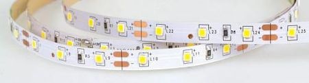 Taśma LED PREMIUM SMD 4,8w, 8mm, 5m neutralna IP65 - Lumax LS103
