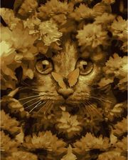 Zdjęcie Twoje Hobby Malowanie Po Numerach. Mały Kot W Kwiatach - Pruchnik