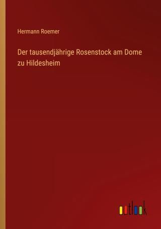 Der Tausendjährige Rosenstock Am Dome Zu Hildesheim - Literatura ...