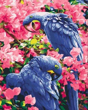 Symag Obraz Malowanie Po Numerach Ptaki W Kwiatach