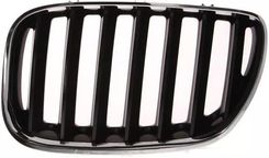 Zdjęcie Blic Kratka Chłodnicy 6502-07-0095995P - Niepołomice