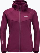 Zdjęcie Jack Wolfskin Bluza Polarowa Damska Hydro Grid Fleece Różowa 1709911 4060477955209 - Radziejów