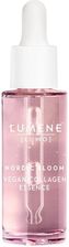 Zdjęcie Lumene Nordic Bloom Vegan Collagen Essence 30ml - Puławy