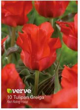 Zdjęcie Cebule Tulipan Verve Red Riding Hood 10 Szt. - Szprotawa