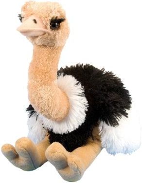 Wild Republic Zabawka Pluszowa Cuddle Kins Ostrich
