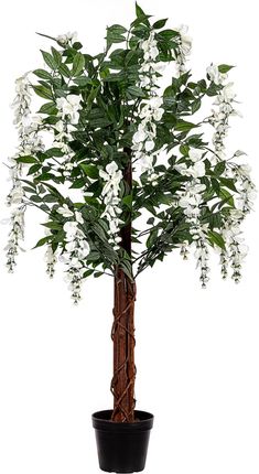 Plantasia Sztuczne Drzewo Wisteria Glicynia Biała 120Cm 3261